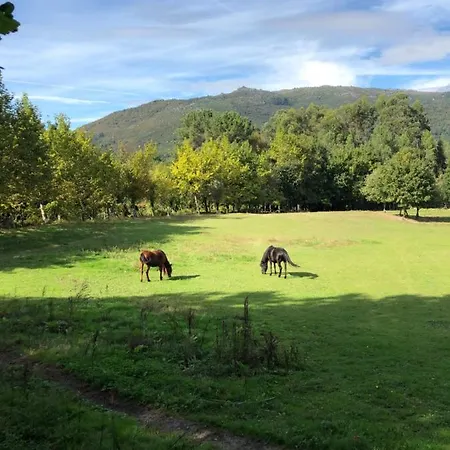 Quinta Casa Da Fonte Vieira do Minho
