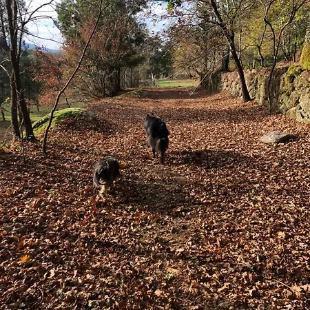 Quinta Casa Da Fonte Vakantieboerderij *