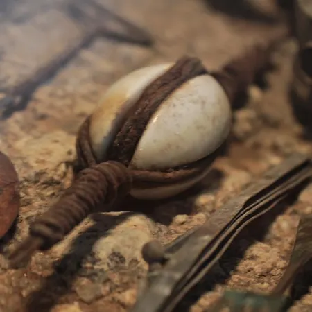 Vakantieboerderij Quinta Casa Da Fonte