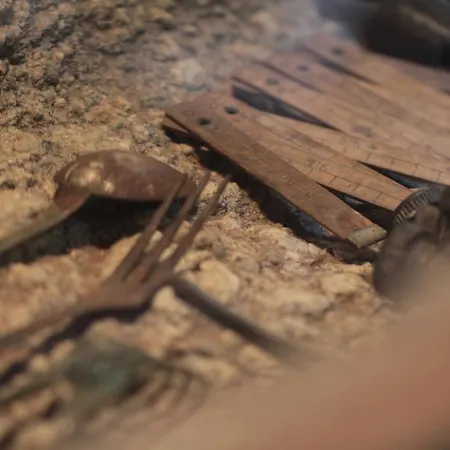 Vakantieboerderij Quinta Casa Da Fonte *