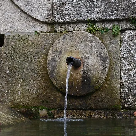 Vakantieboerderij Quinta Casa Da Fonte