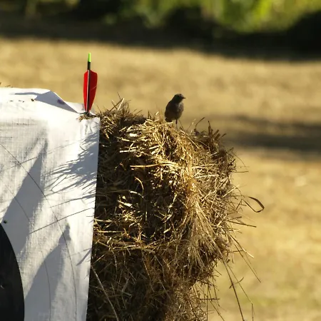 Quinta Casa Da Fonte * Vieira do Minho