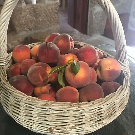 Vakantieboerderij Quinta Casa Da Fonte *