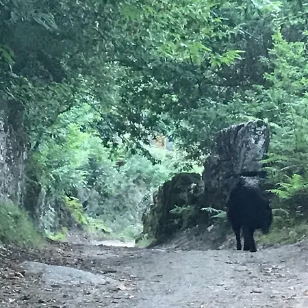 Quinta Casa Da Fonte Vieira do Minho