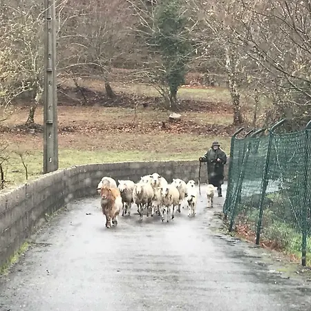 Quinta Casa Da Fonte Vieira do Minho