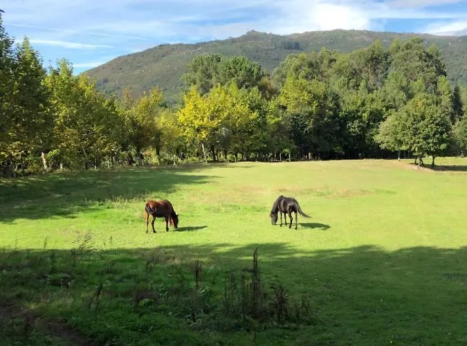 Quinta Casa Da Fonte Vieira do Minho
