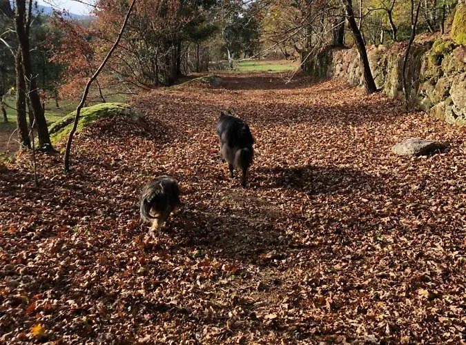 Quinta Casa Da Fonte Farm stay *