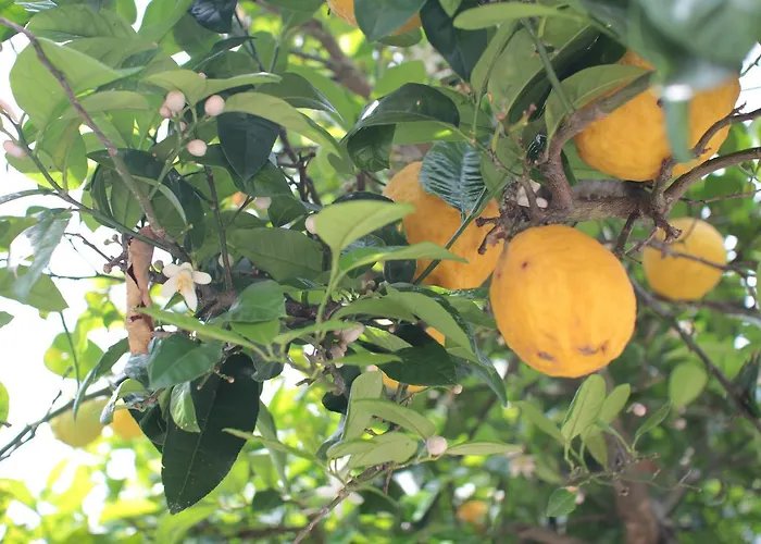 Quinta Casa Da Fonte Alloggio per agriturismo Vieira do Minho
