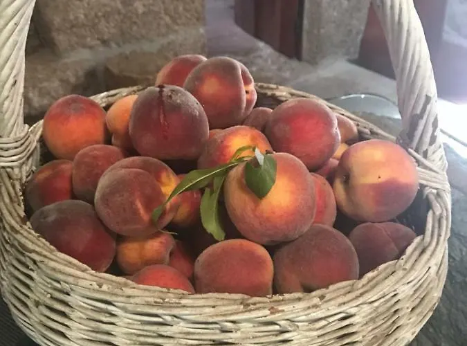 Alloggio per agriturismo Quinta Casa Da Fonte *