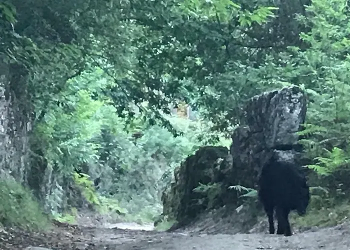 Quinta Casa Da Fonte Vieira do Minho