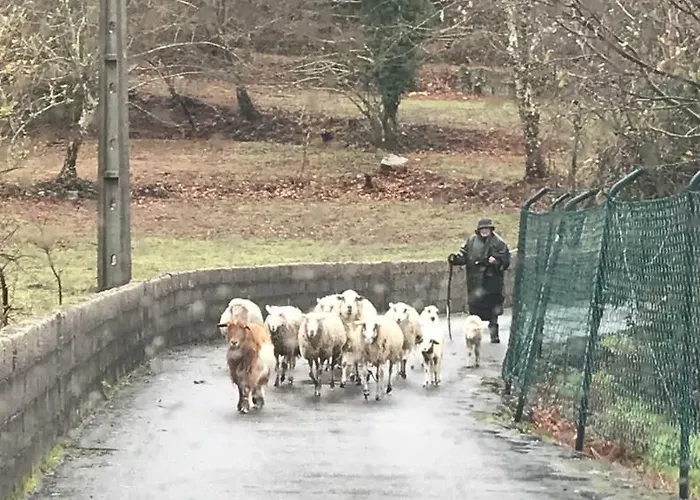 Quinta Casa Da Fonte Vieira do Minho